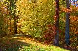 Autumn Trail_24540